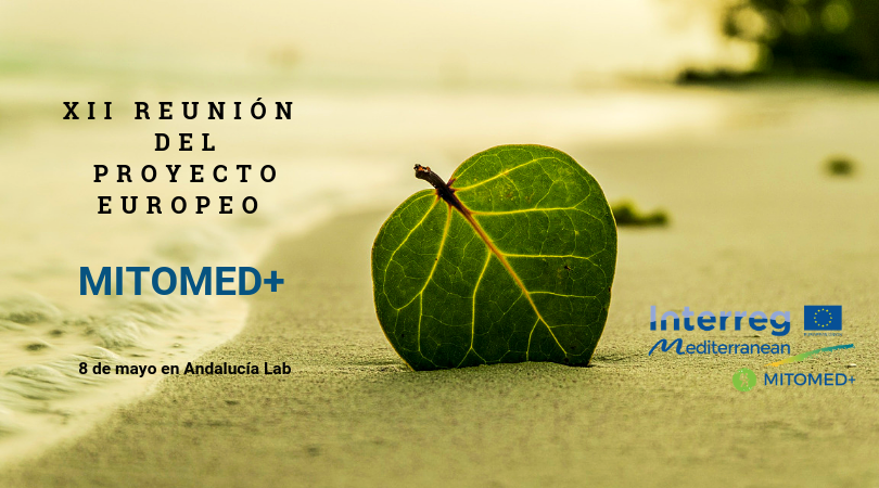 XII Reunión del Proyecto Europeo MITOMED+ XII Reunión del Proyecto Europeo MITOMED+