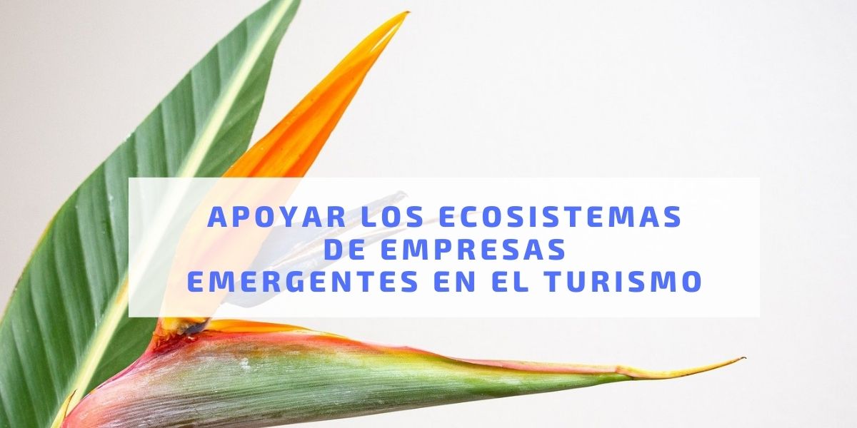 Apoyar los ecosistemas de empresas emergentes en el turismo Apoyar los ecosistemas de empresas emergentes en el turismo